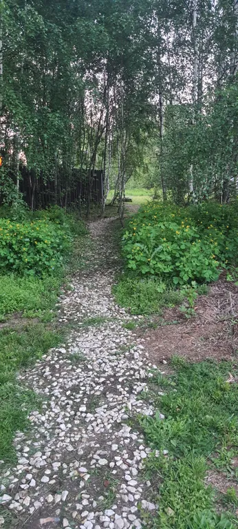 Коттедж Дом (С) с сауной и видом на лес — Воскресенское