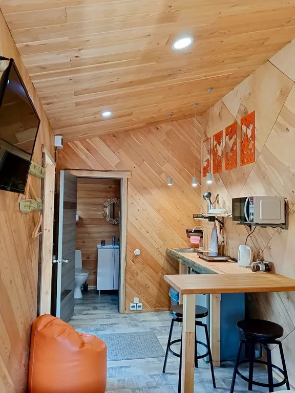 Дом морошка