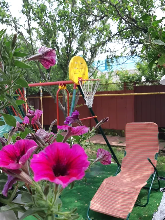 Апартаменты с видом на море