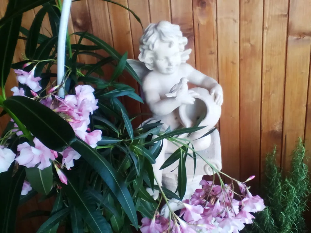 Видовая уютная студия с террасой