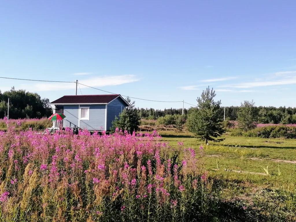 Домик на Ладоге