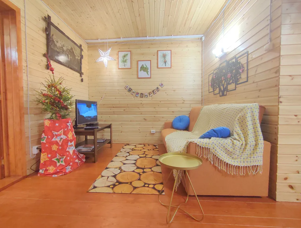 Петербургская дача на холме прямо у озера