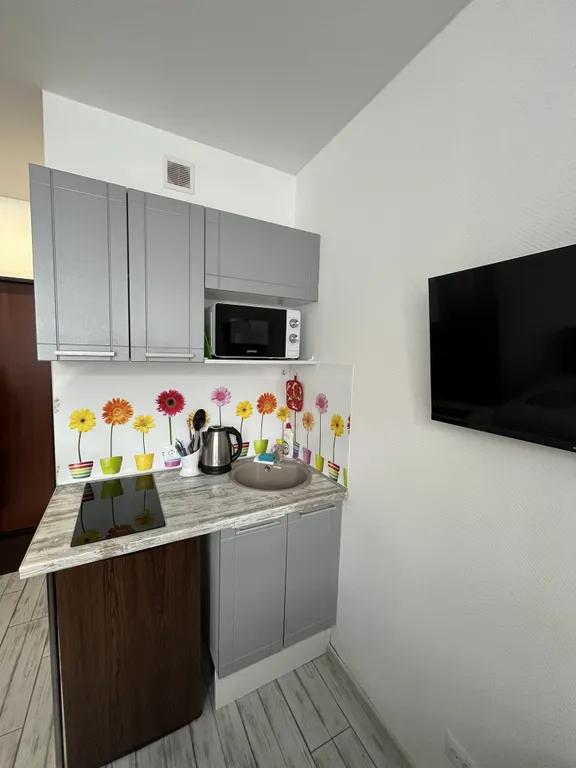 Студия рядом с Краевой больницей на Ляпидевского