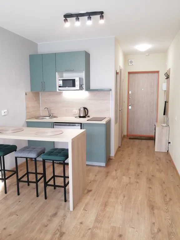 Уютный новый апартамент