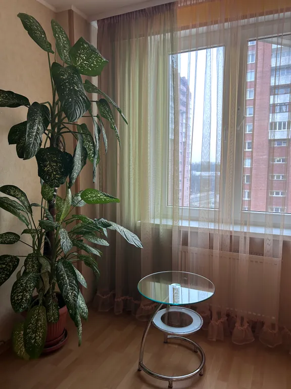 Уютная однокомнатная квартира в центре города