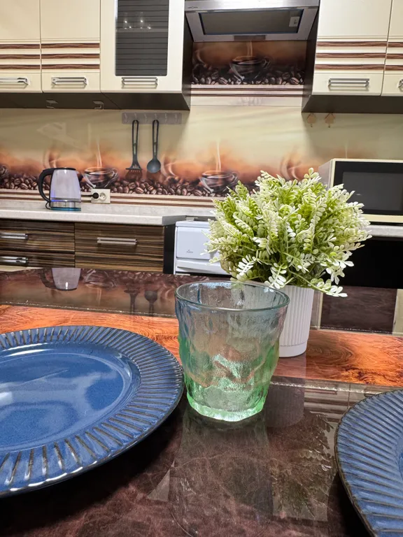 Просторная квартира рядом с ТМК Гринн