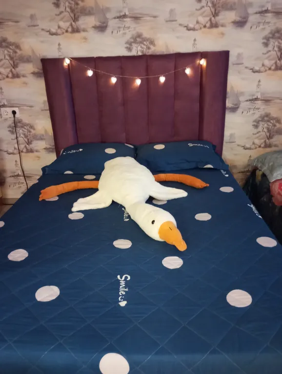 Квартира около зоопарка Лимпопо