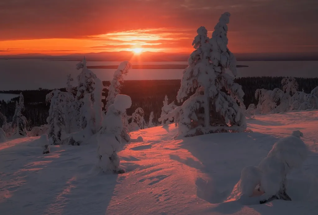 Квартира Ревда Мурманской