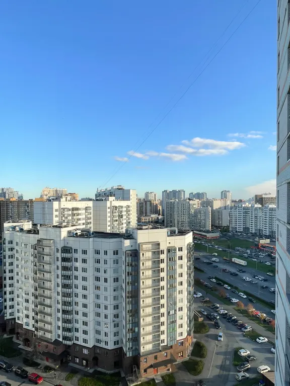 Просторная квартира у Лахтинского разлива