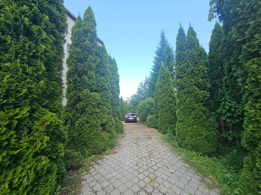 Большой дом в черте города