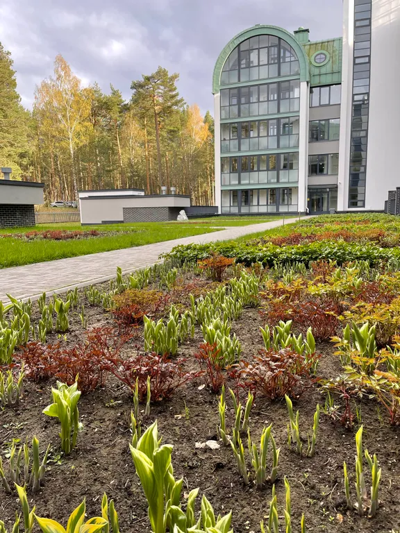 Апартаменты на территории санатория Курорт