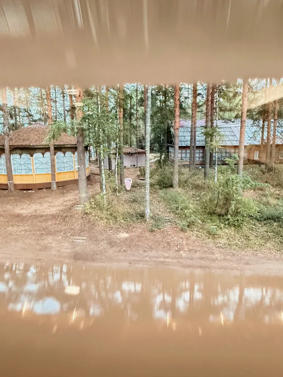 Белый дом и сосны