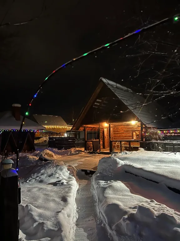 Кедровый уют у реки, ваше восстановление на Алтае
