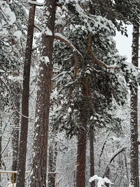 А-Frame домик с видом на гору Чегет