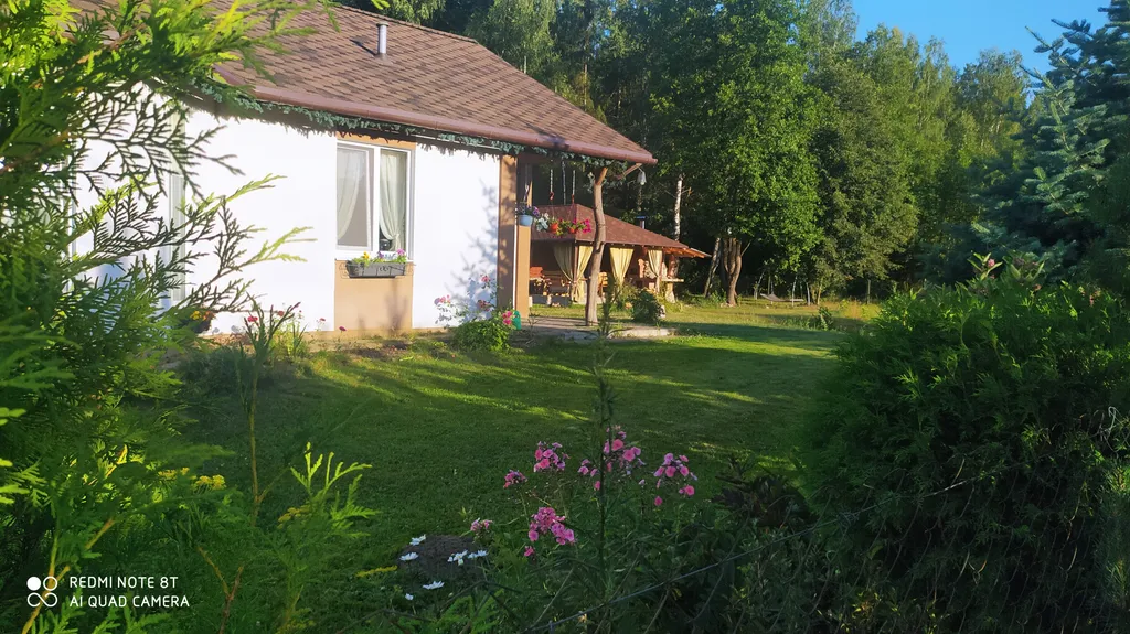 Хутор Избушка на опушке леса, возле реки