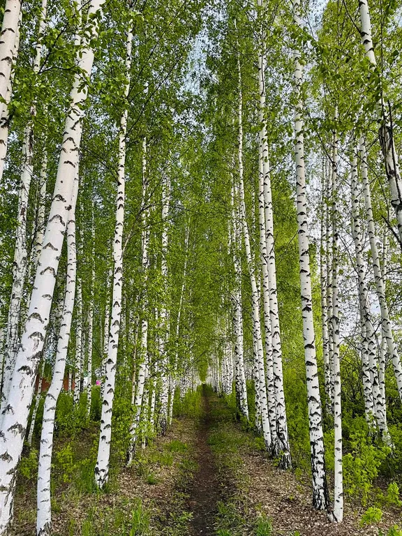 Бревенчатый 2-х этажный коттедж