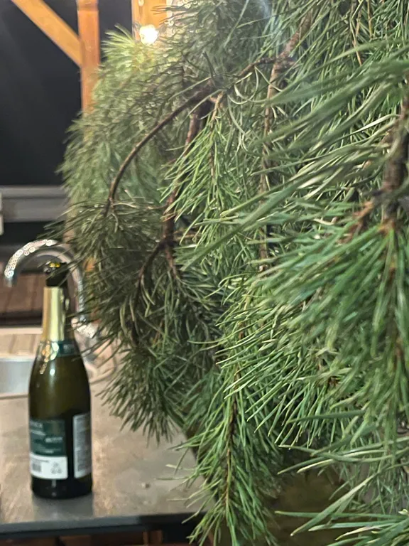 Коттедж 4-комнатный Дом — аренда посуточно в Нарочь