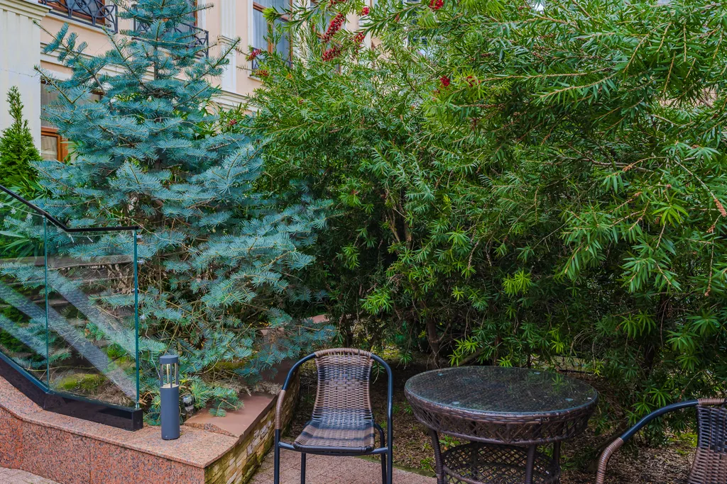 Квартира 2-комнатная Квартира — Сочи