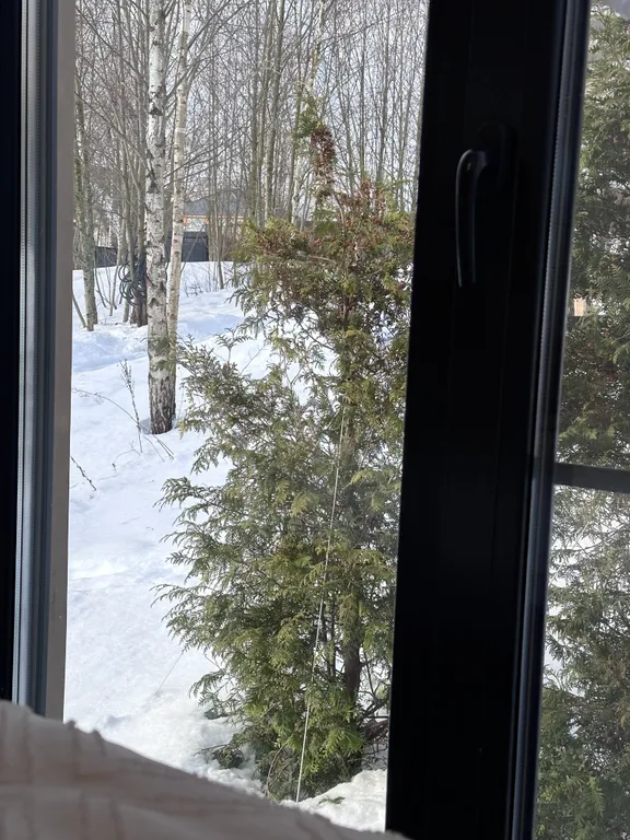 Дом на холме у леса