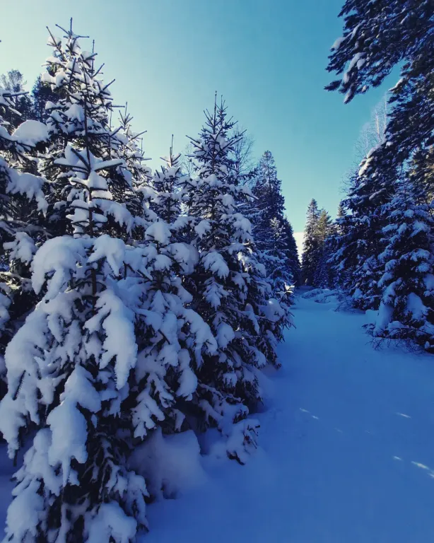 Коттедж Незабываемый отдых в доме с видом на реку и лес — Нурмойла