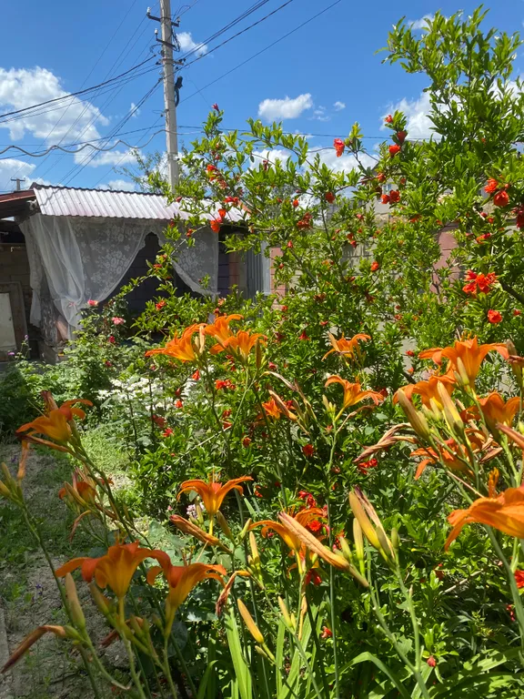 Уютный дом для семьи в Судаке