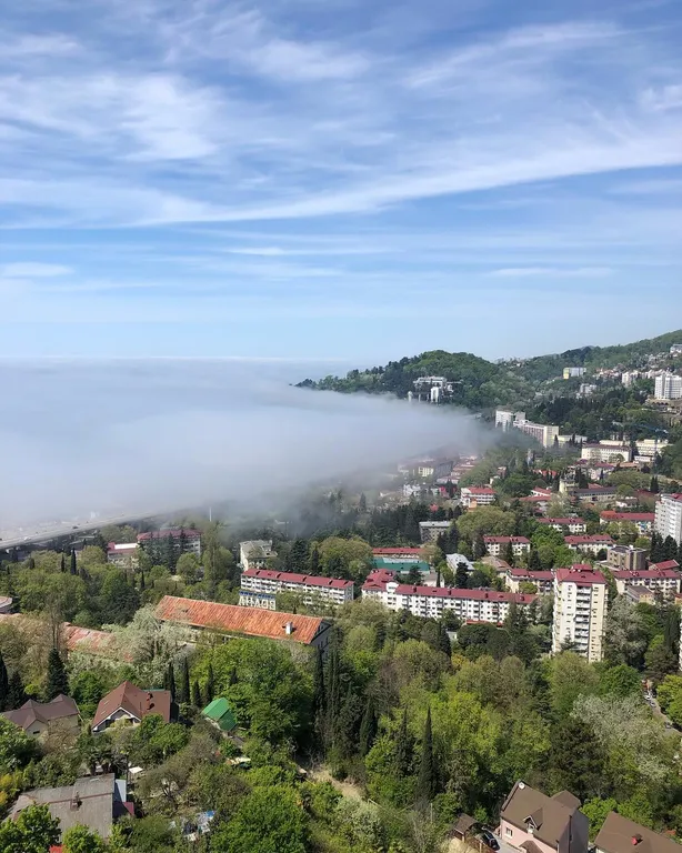 Квартира 1-комнатная Квартира — Сочи