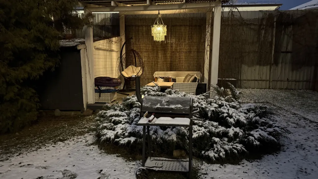 Эксклюзив - дом-сад у главной елки Ярославля, катка Советской площади