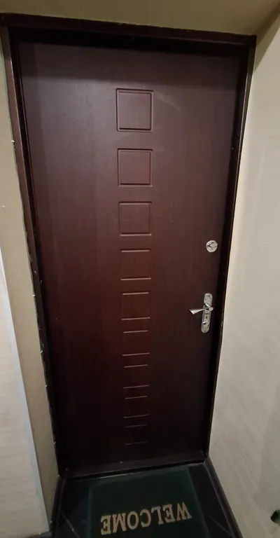 Уютная евротрёшка в центре города.