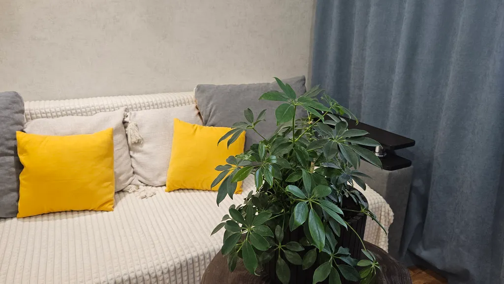 Чистая уютная квартира от детского врача