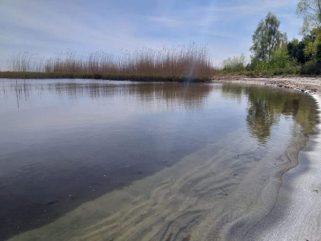 Квартира Двухкомнатная чудная квартира — Светлогорск