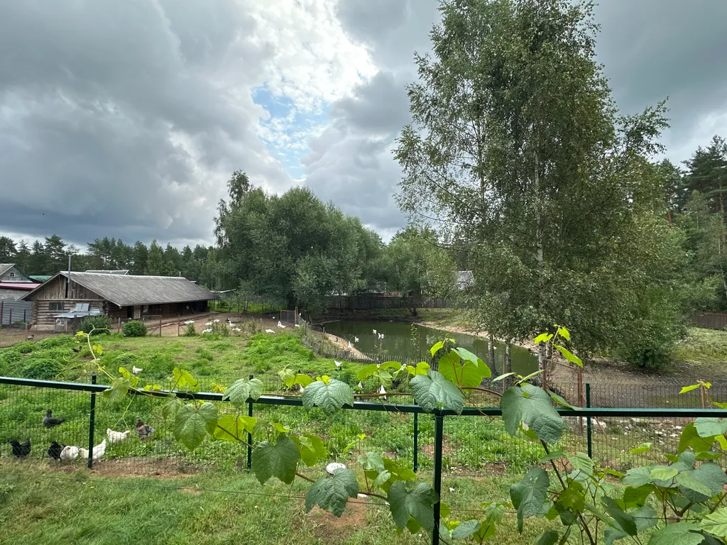 Сосновый Бор