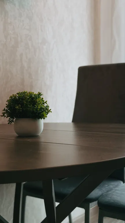 Новая квартира Новые сады