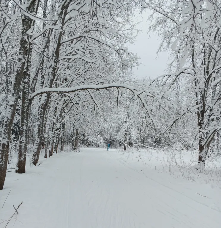 Коттедж Домик в деревне "в гостях у Молли" — Волосово