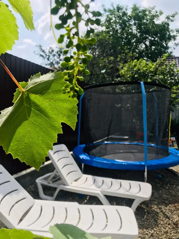 3х местный номер эконом