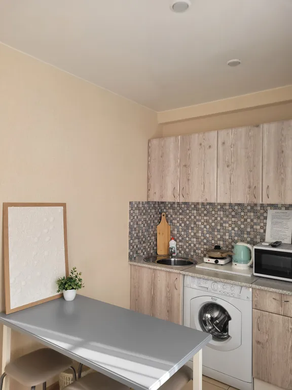 Квартира с кондиционером в 5 минутах от аэропорта Толмачёво