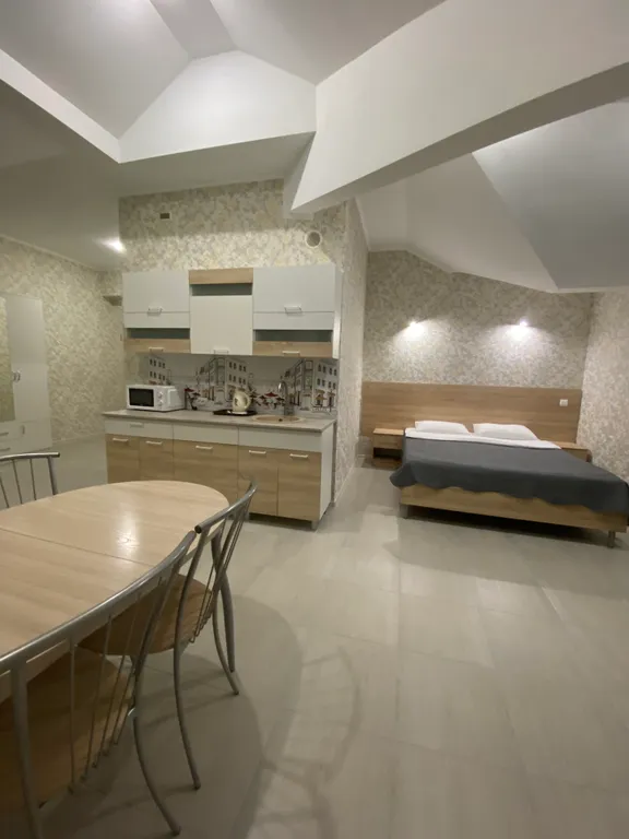 Студия на 4-х с кухней, балконом