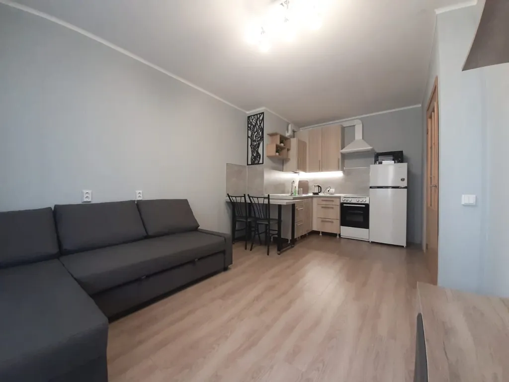 Квартира у метро Парнас