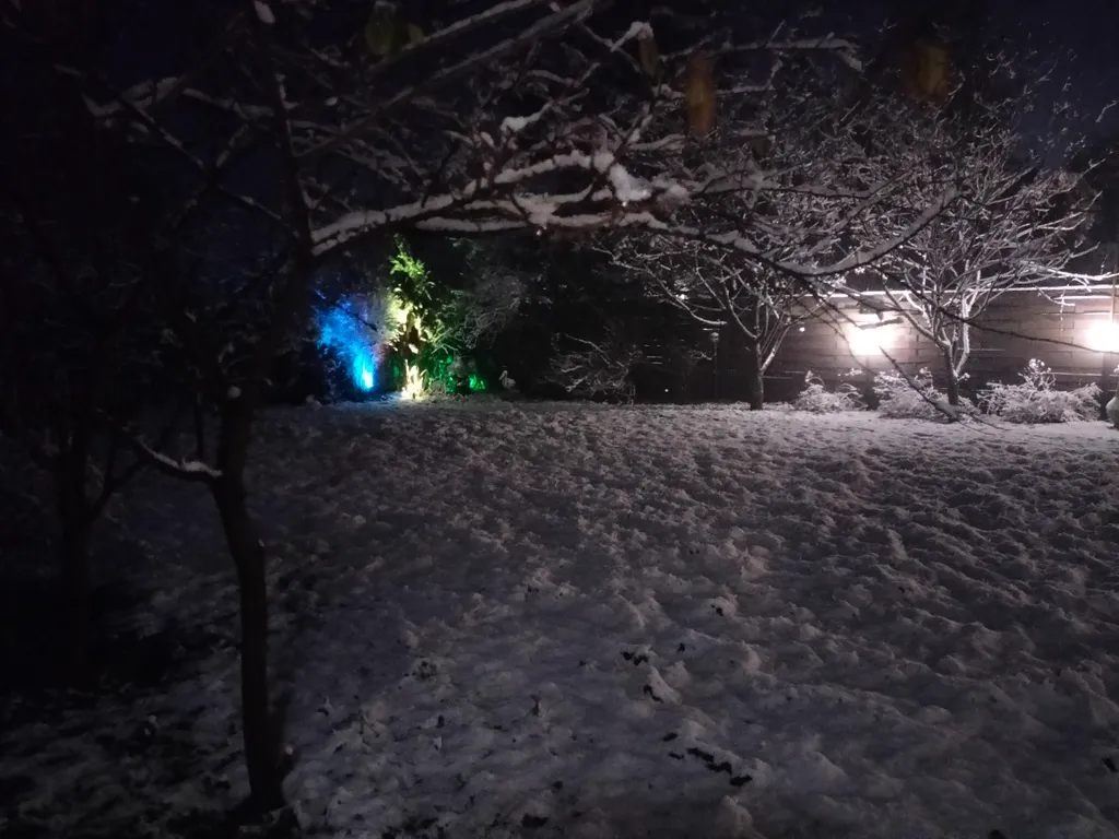 Уютный коттедж с дровяным камином, в окружении лесного массива