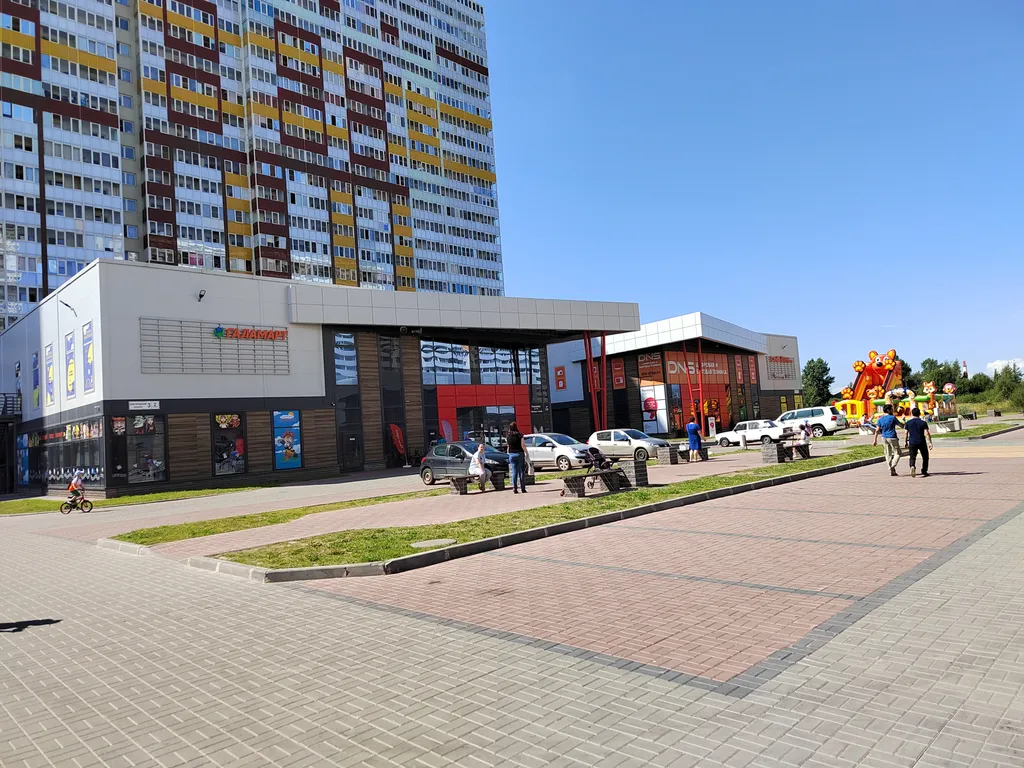 Студия уюта с видом на лес