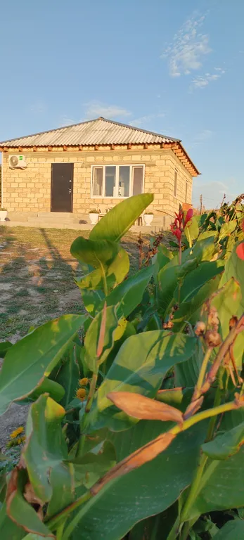 Уютный дом с кухней, на берегу моря