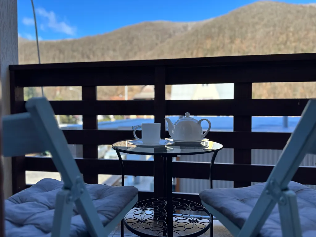 Уютная студия с видом на горы