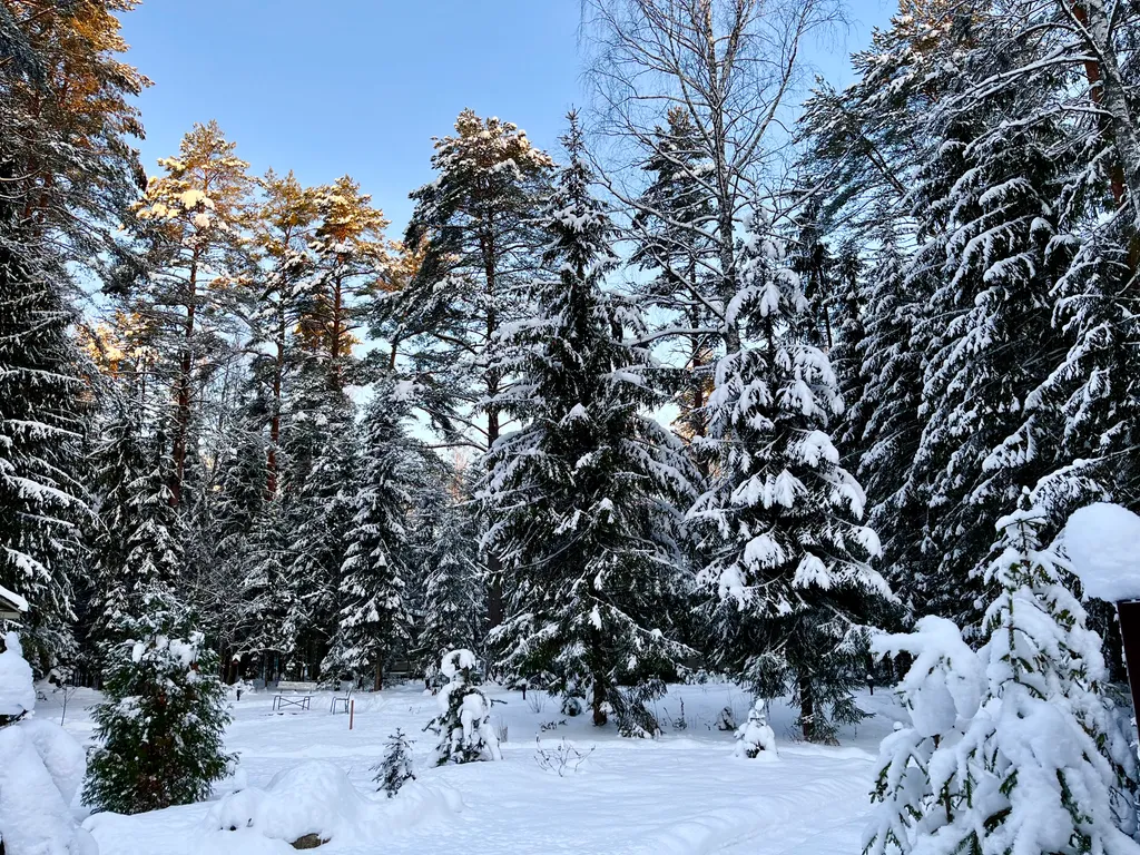 Коттедж Дизайнерский коттедж на берегу озера Волго на Селигере — Турбаза Чайка