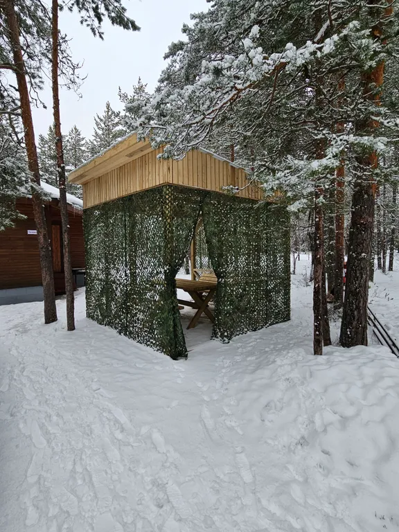 Ильинка в Карелии