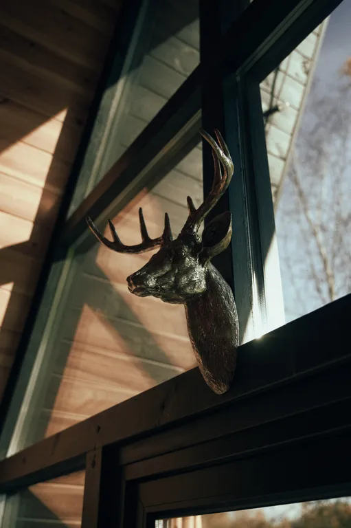 Шале в Беловежской Пуще Forest Soul Aframe