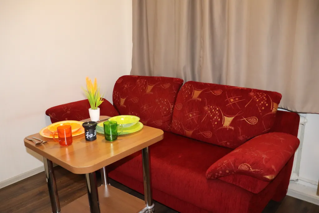 Квартира Компактная студия с двуспальным диваном у станции МЦД4 Железнодорожная — аренда посуточно в Балашиха