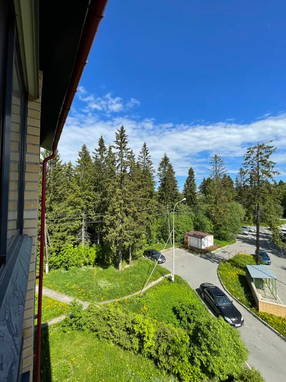 Двухкомнатная квартира на Парковой