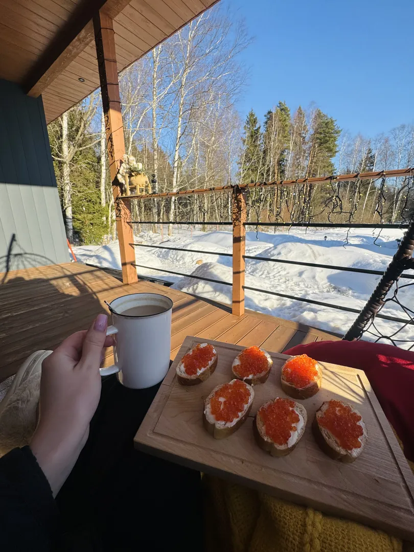 Завтраки с красивым видом на лес 
