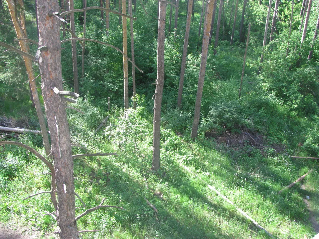 Апартаменты от Елены на Гвардейской