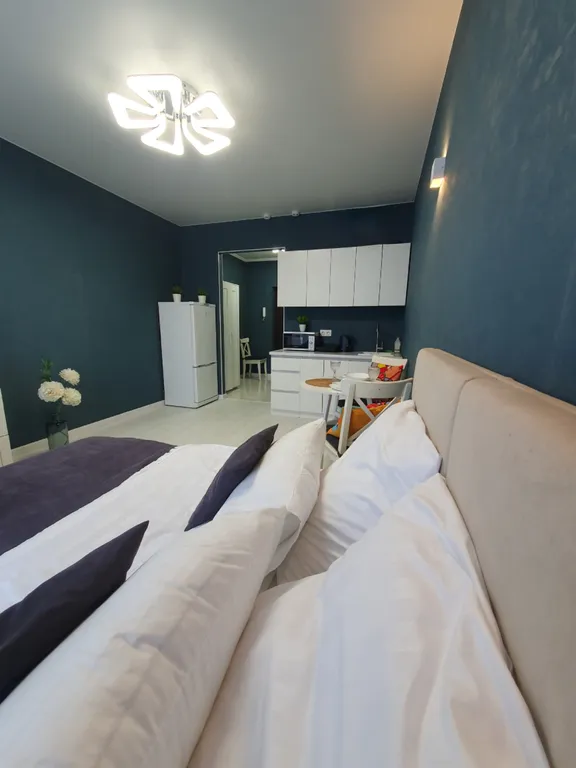 Студия в центре города