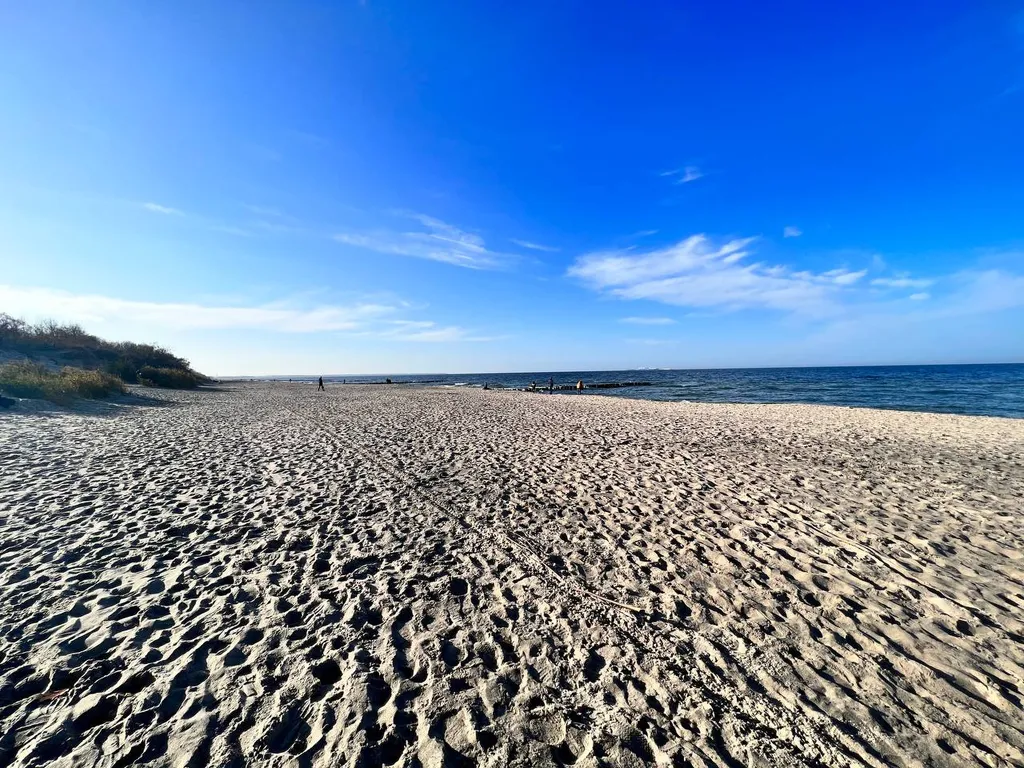 Апартаменты Прекрасная Кёнигсбергщина-2